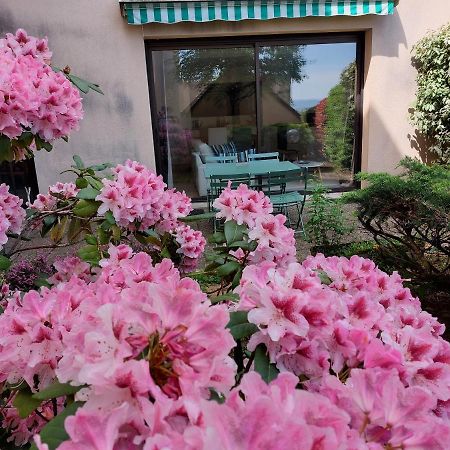 Le Denyspuech 55M2 Plein Centre Avec Jardin! Apartamento Rodez Exterior foto