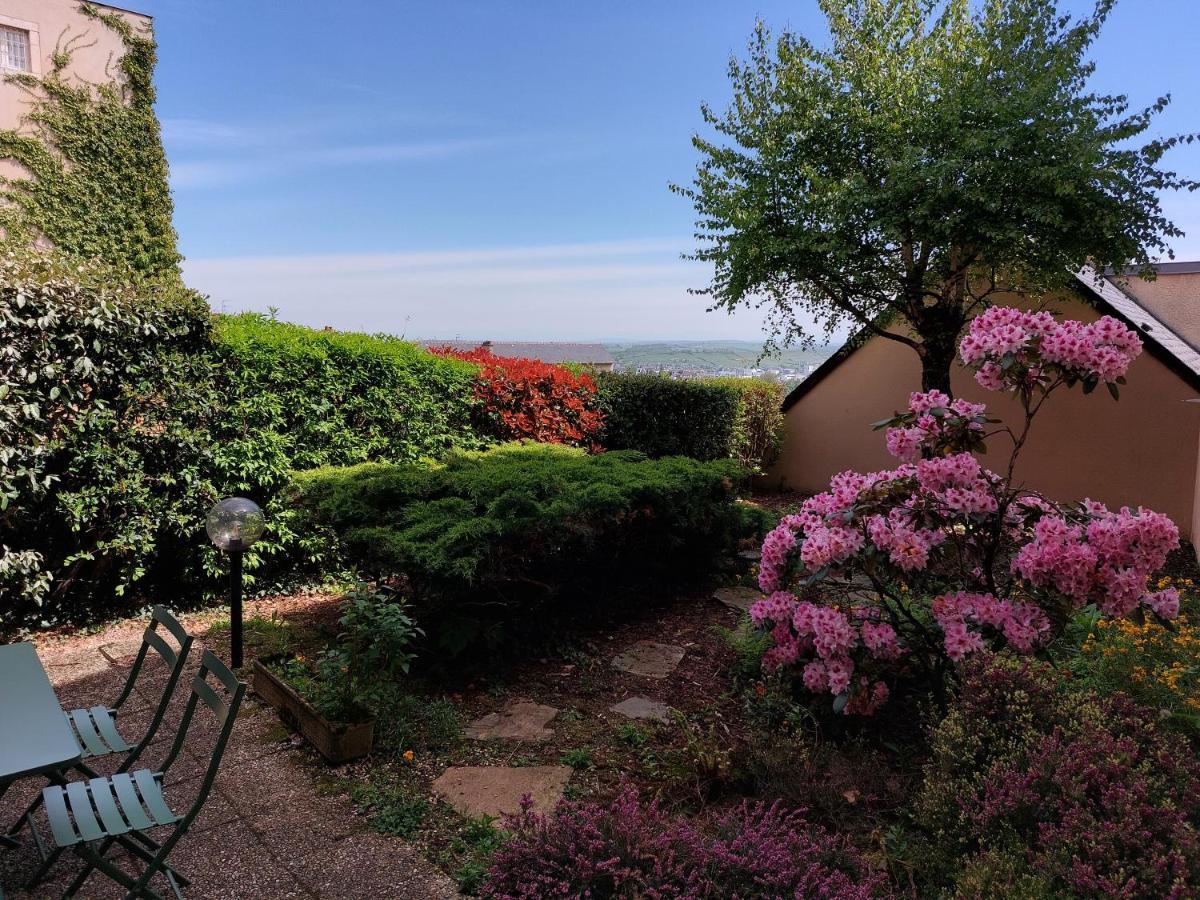 Le Denyspuech 55M2 Plein Centre Avec Jardin! Apartamento Rodez Exterior foto