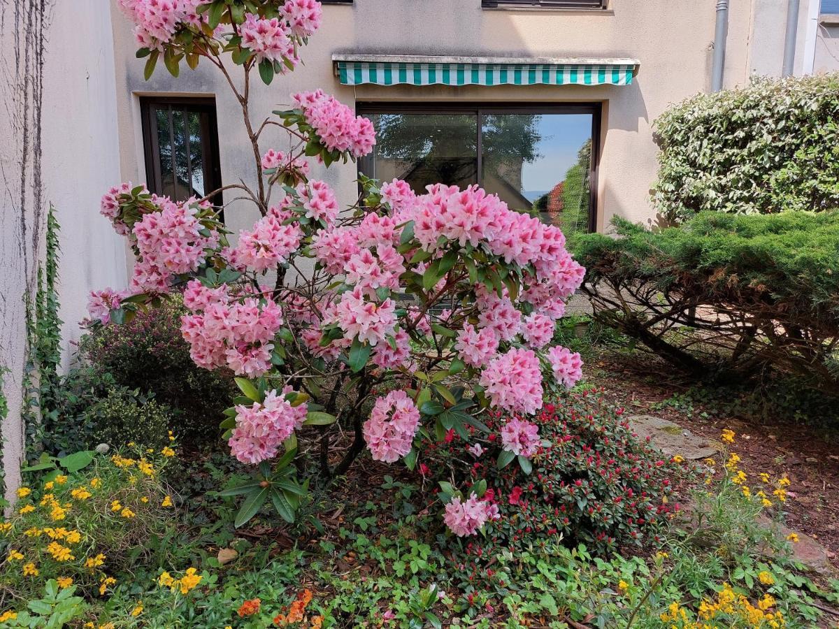 Le Denyspuech 55M2 Plein Centre Avec Jardin! Apartamento Rodez Exterior foto